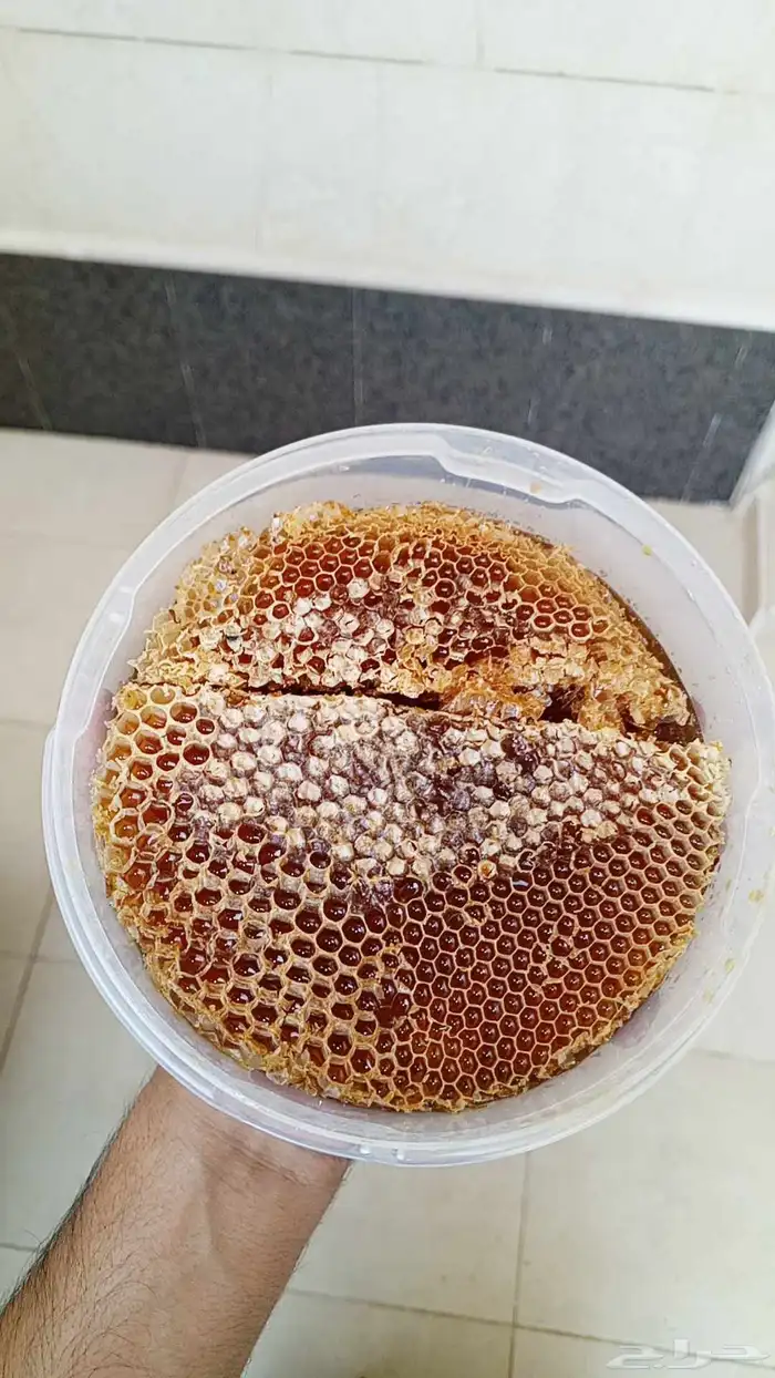 عسل سدر رقم 1 2