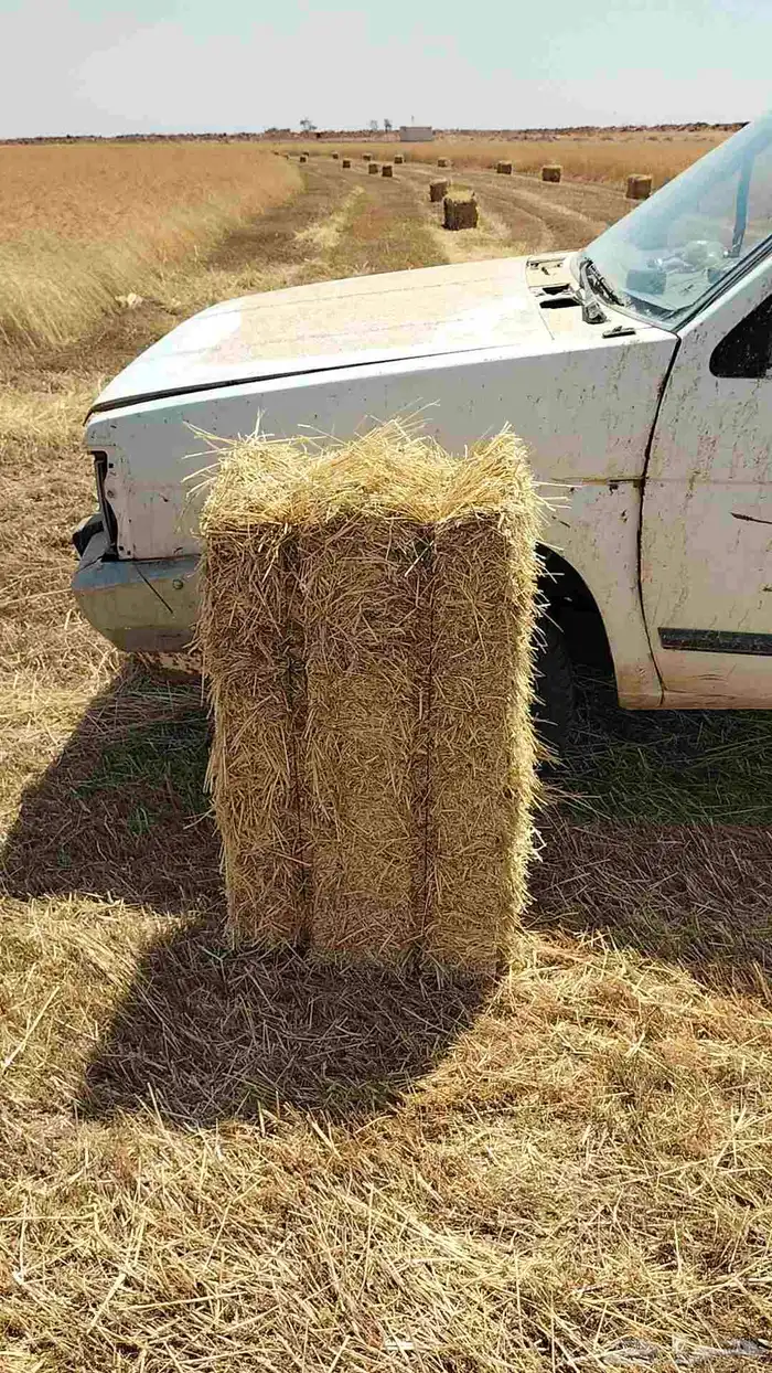 تبن بر معية شد 85 سيم مشدود 0