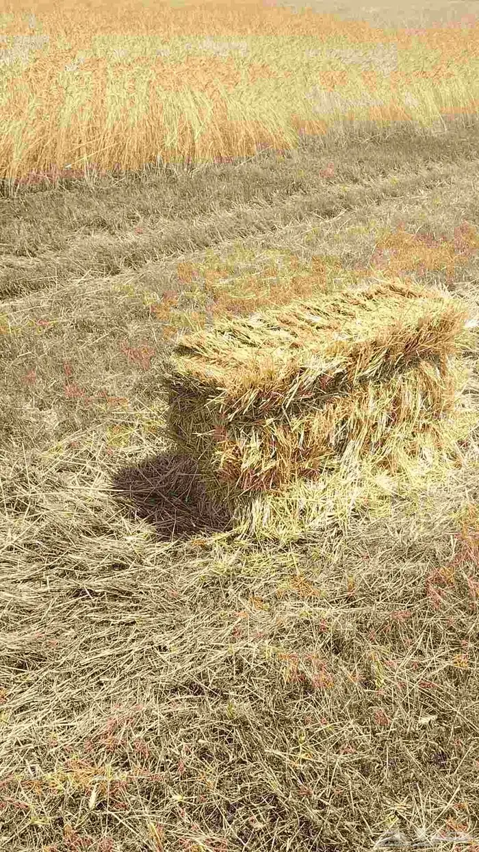 تبن بر معية شد 85 سيم مشدود 3