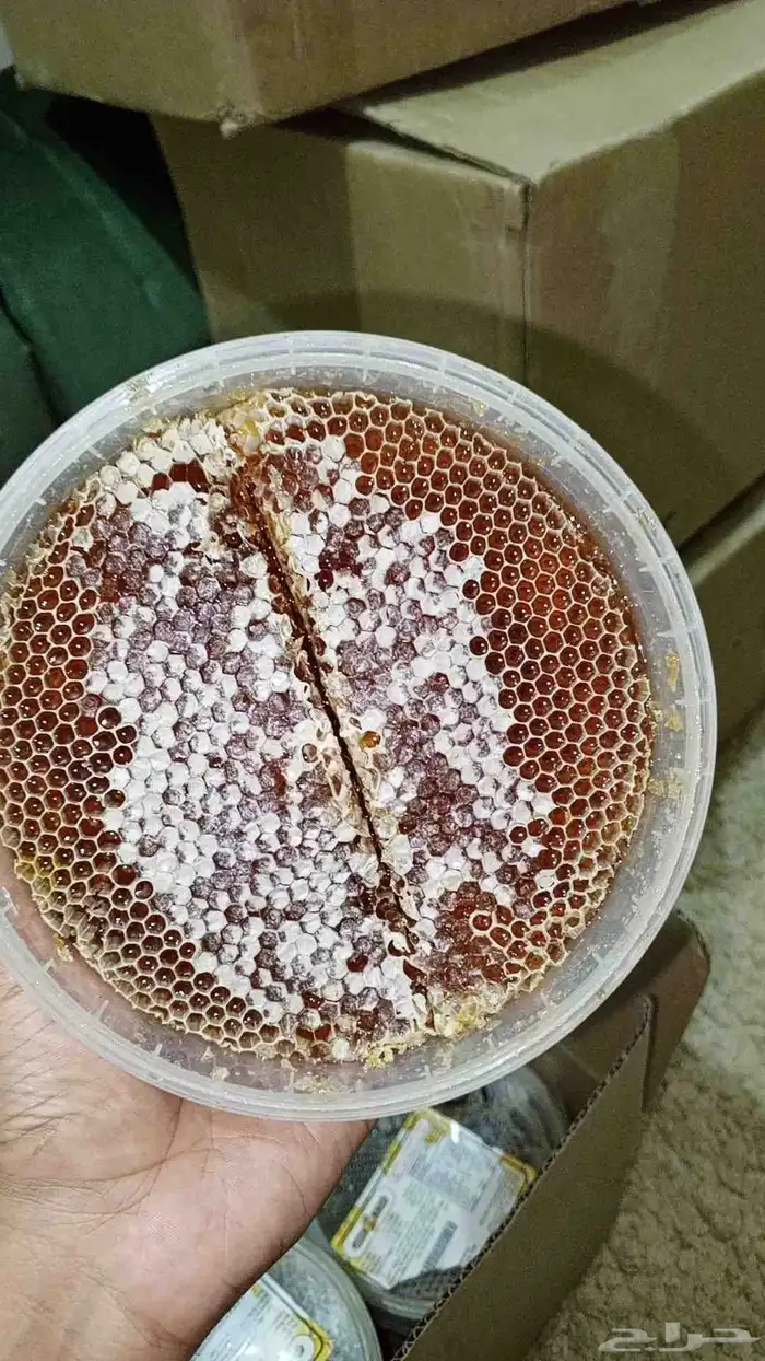 عسل سدر رقم 1 0