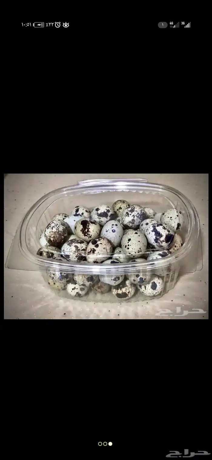 بيض سمان انتاج يومي ولله الحمد 3