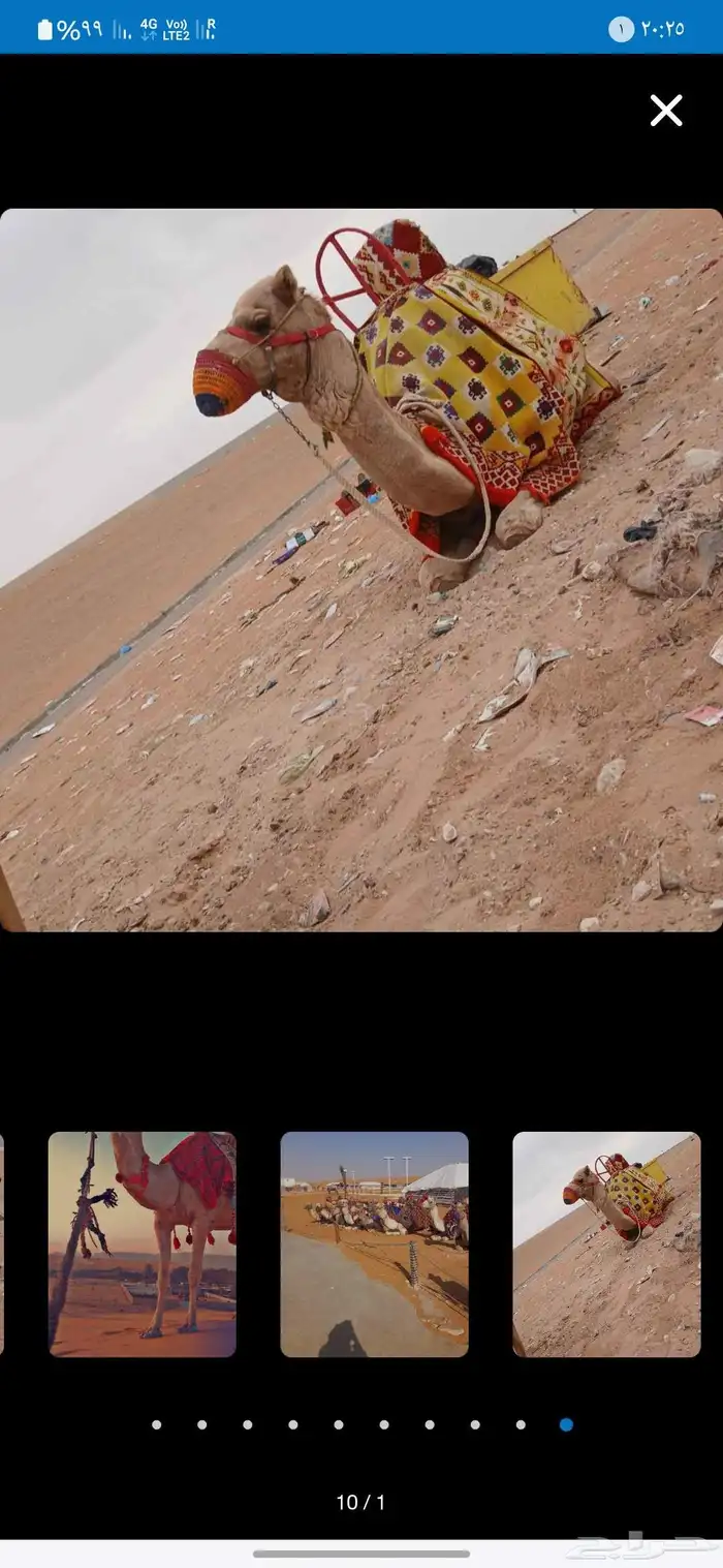 آجار جمال رحول ركبي لي التصوير وا الفعاليات وا المناسبه 9