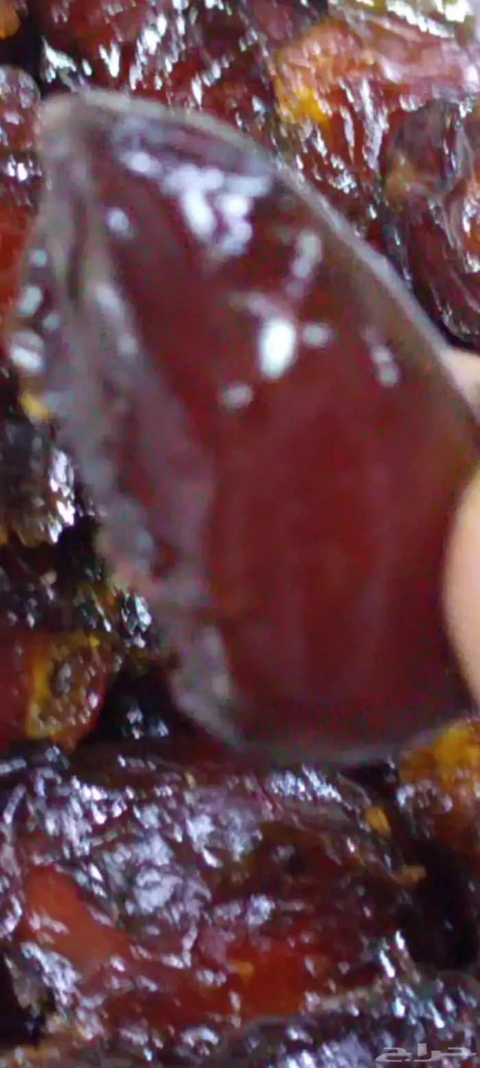 سند للتمور حائل الفاخرة 15