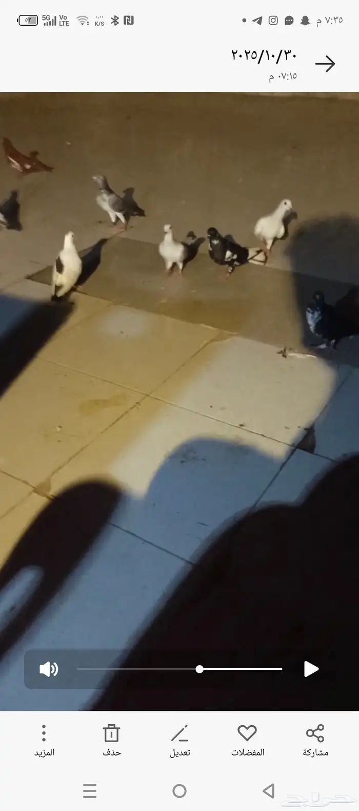 حمام كش العدد 25 شرط كش ثلاث طالعين من فكيك وباقي شرط كش 0