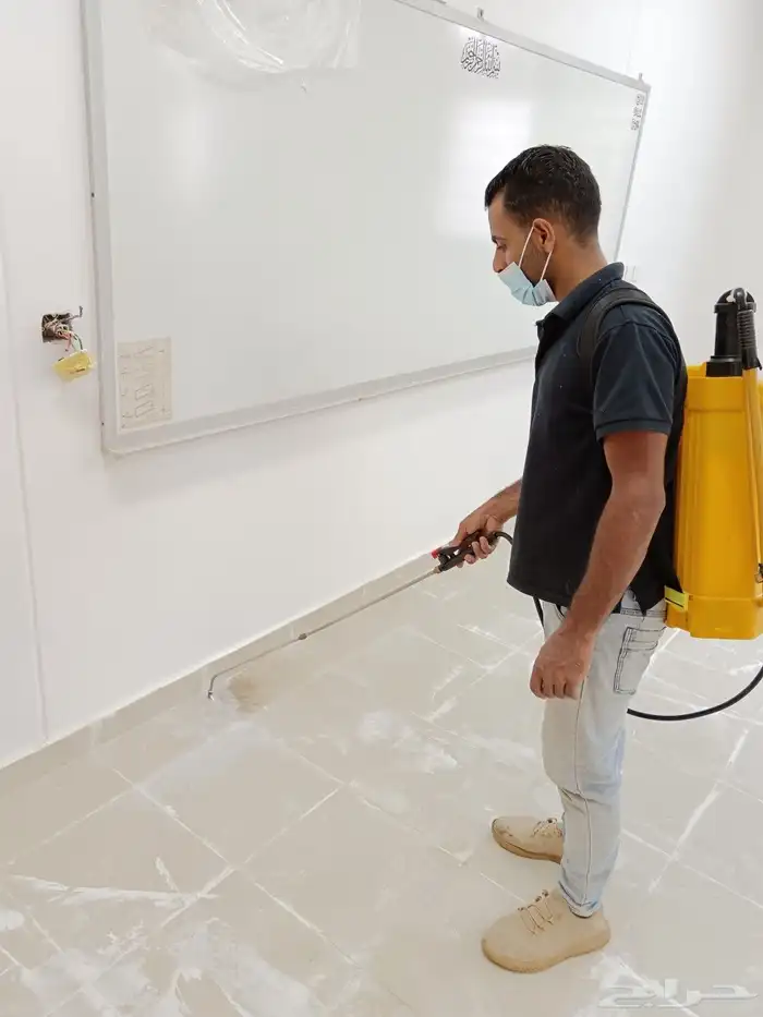 شركه مكافحه حشرات بجازان ورش مبيدات لجميع انواع الحشرات 3