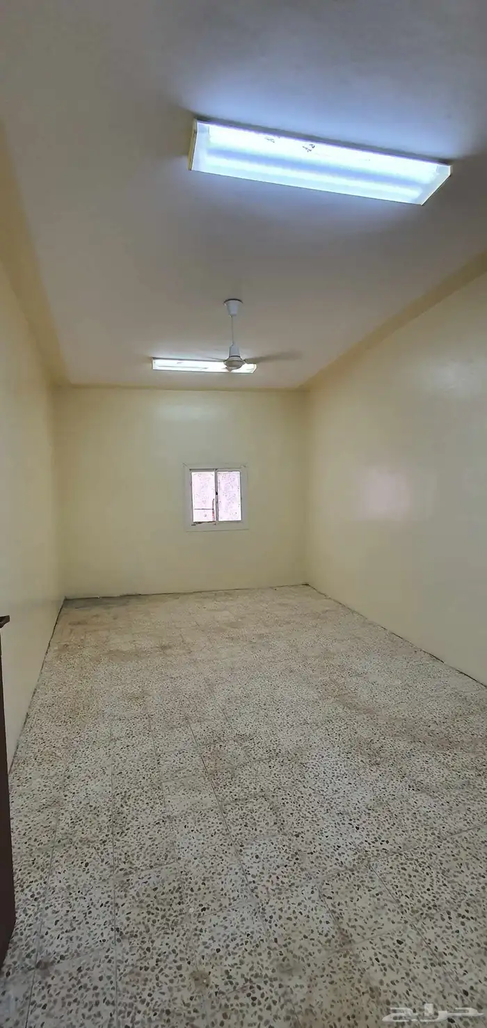 دورين بلاطه للايجار الواديين ابها 3