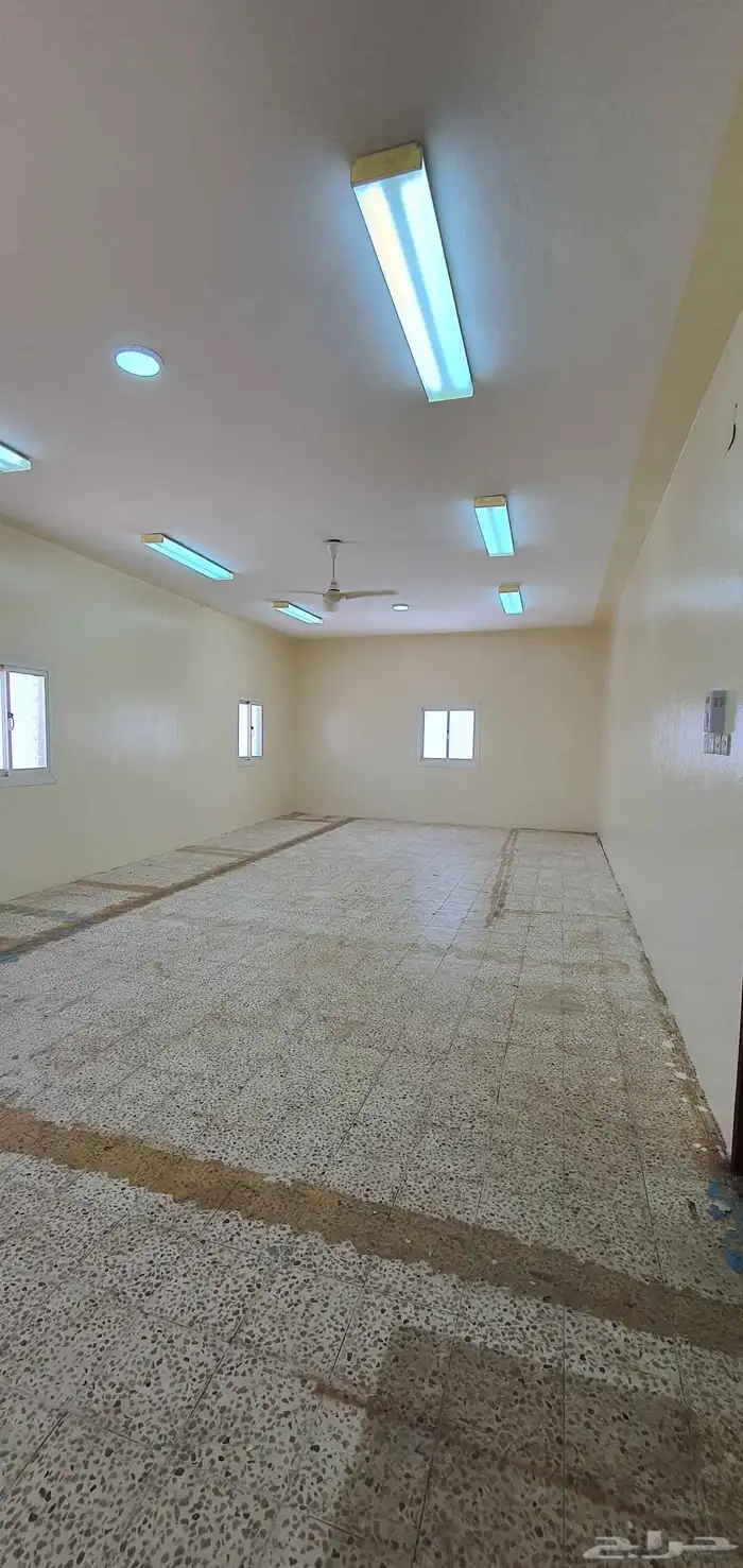 دورين بلاطه للايجار الواديين ابها 2