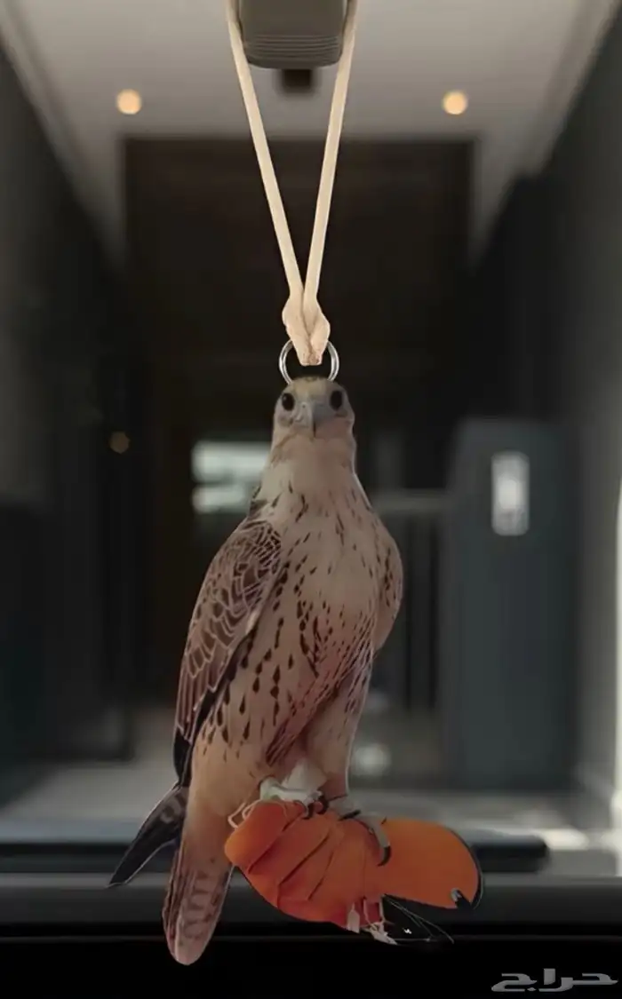 صقر مطلوب نفس التعليقه هذي للسيارة 0