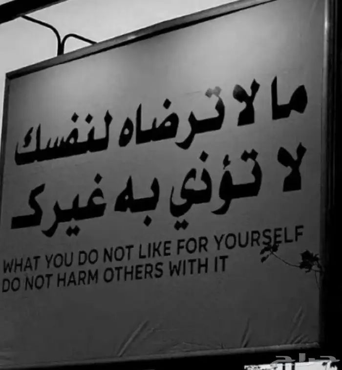 القصيم بريدة فقط 0