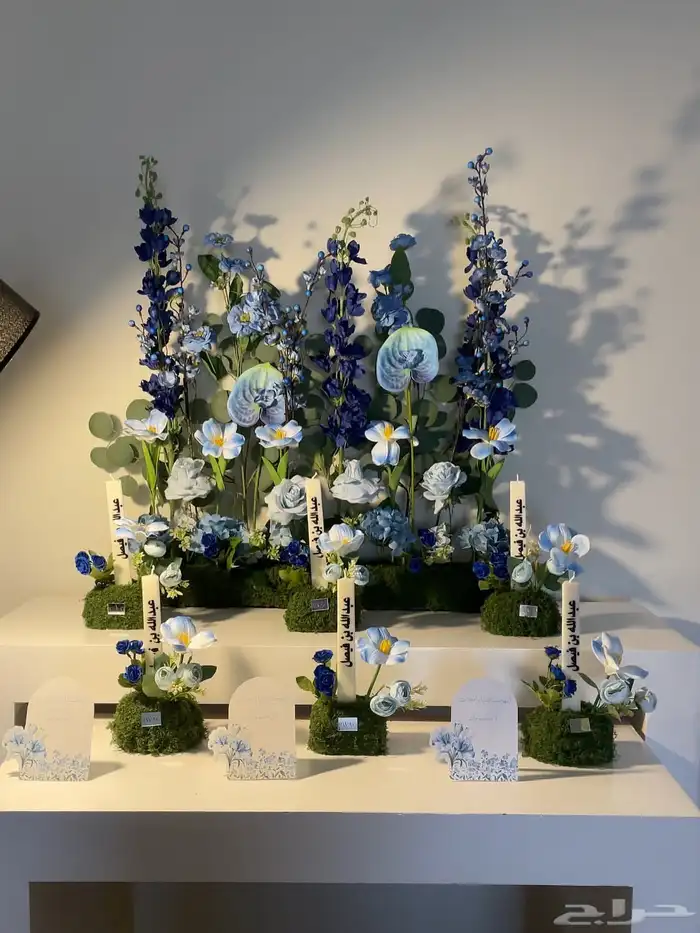 استقبال مواليد 0