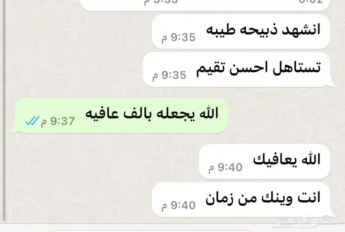 ذبيحتك لباب بيتك نعيمي و حري و ساكني 6