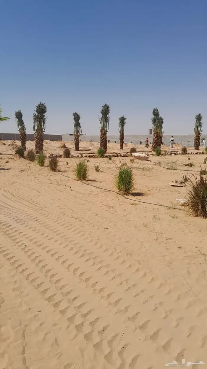 فسايل بجميع أنواعها المختلفه واحجامها 7