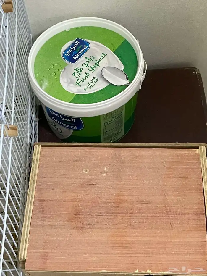 طيور الحب زوج 5