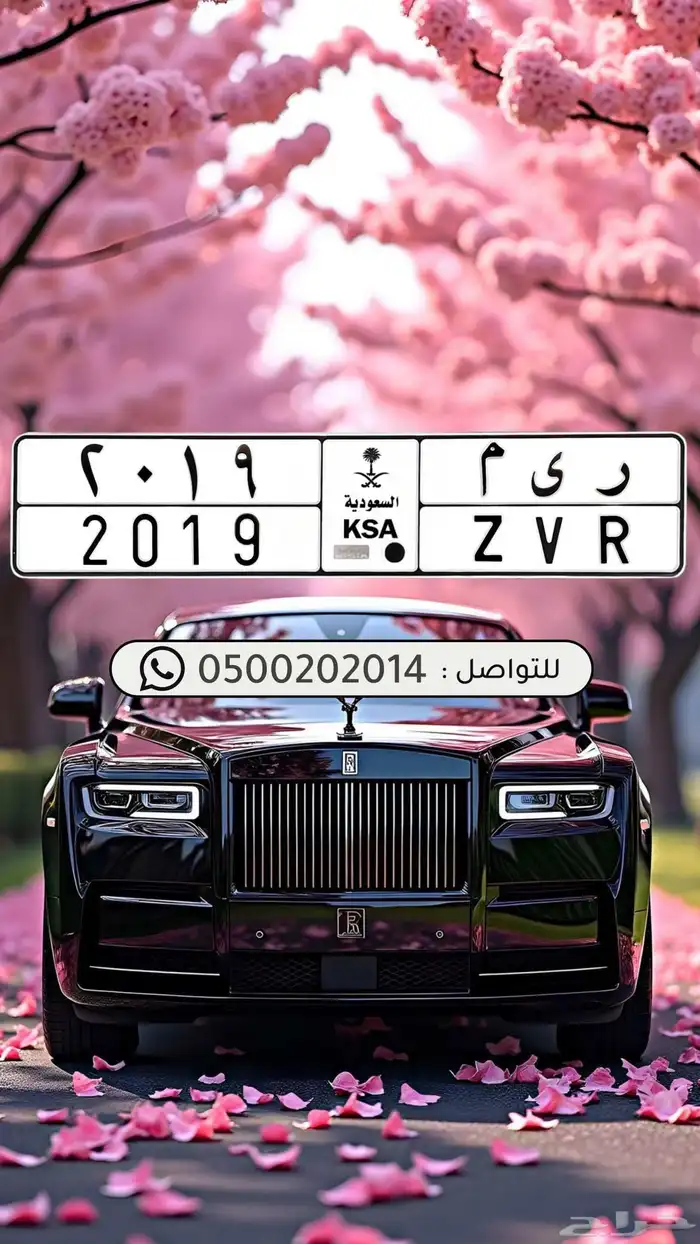 لوحة مميزه _ ر ي م 2019 0
