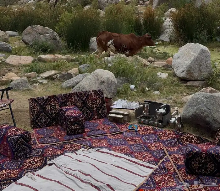 طقم عزبه كامله نقش افغاني صناعه تركيه 1