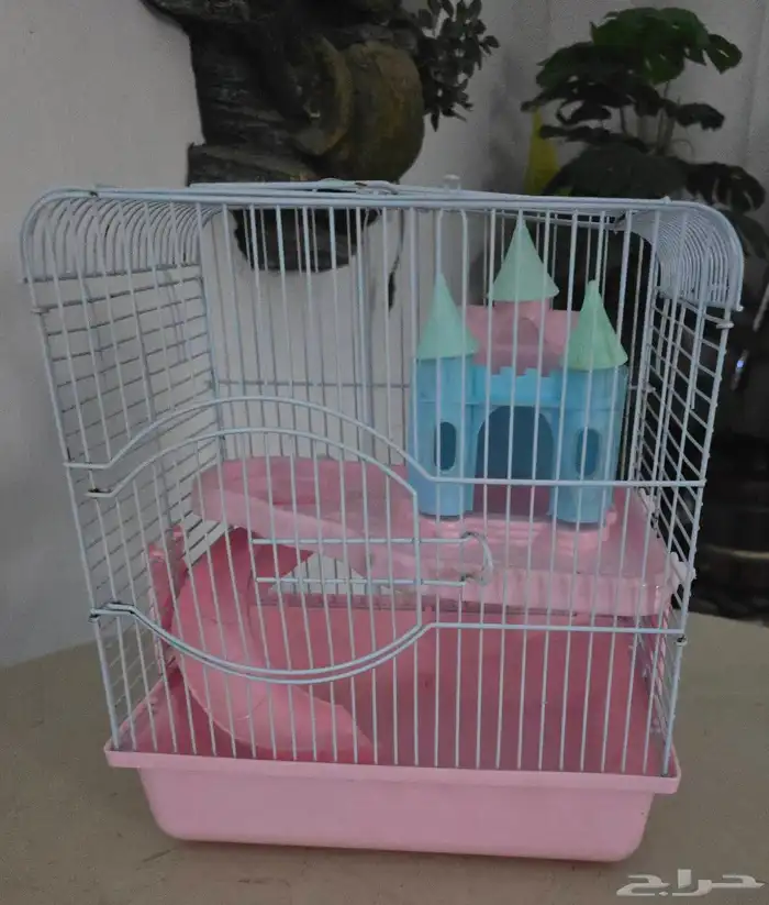 قفص هامستر 2