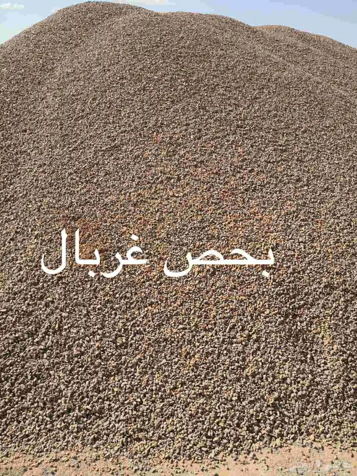 رمل أحمر الفريش 8