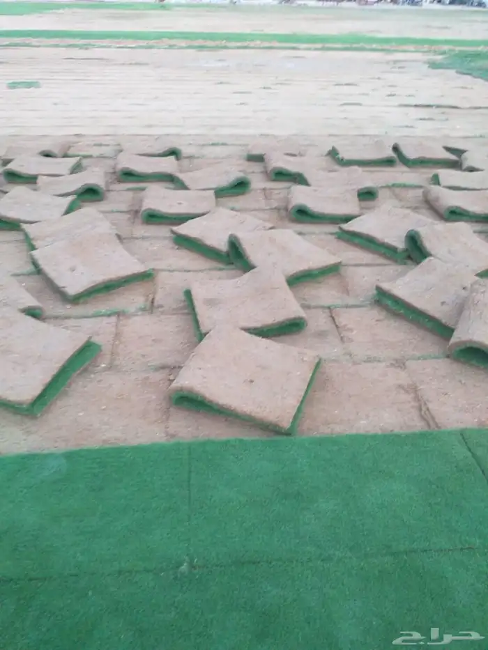 مسطحات خضراء 6