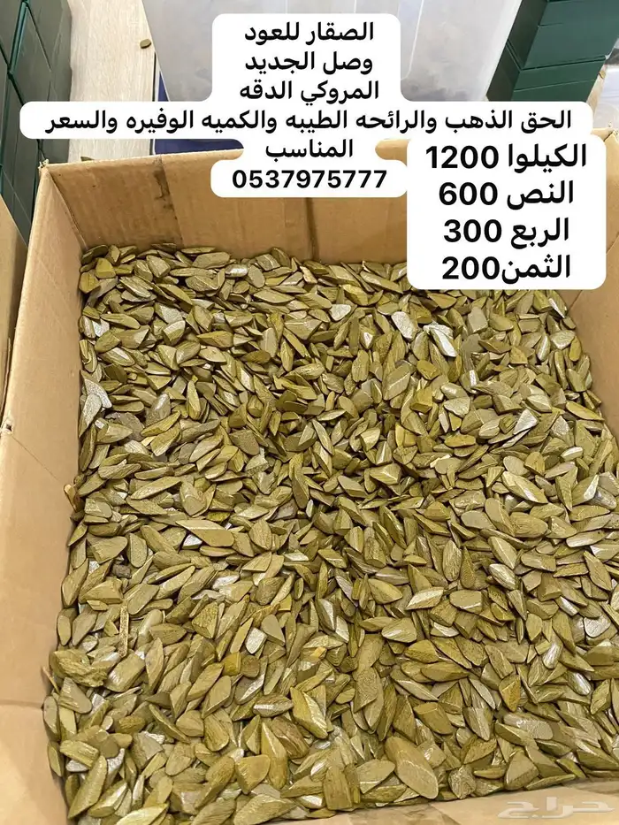 دقه عوده طيبه ممتازه للمساجد ومناسبات الصغيره سعر مناسب 1