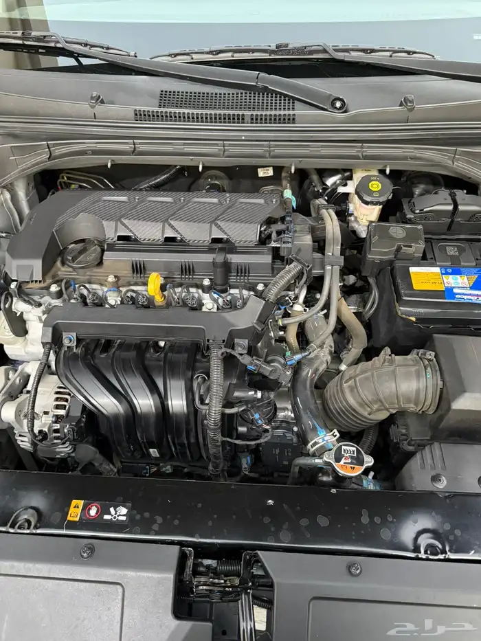 اكسنت بكياس الوكاله 2025 19