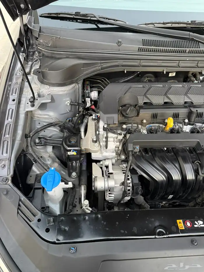 اكسنت بكياس الوكاله 2025 21