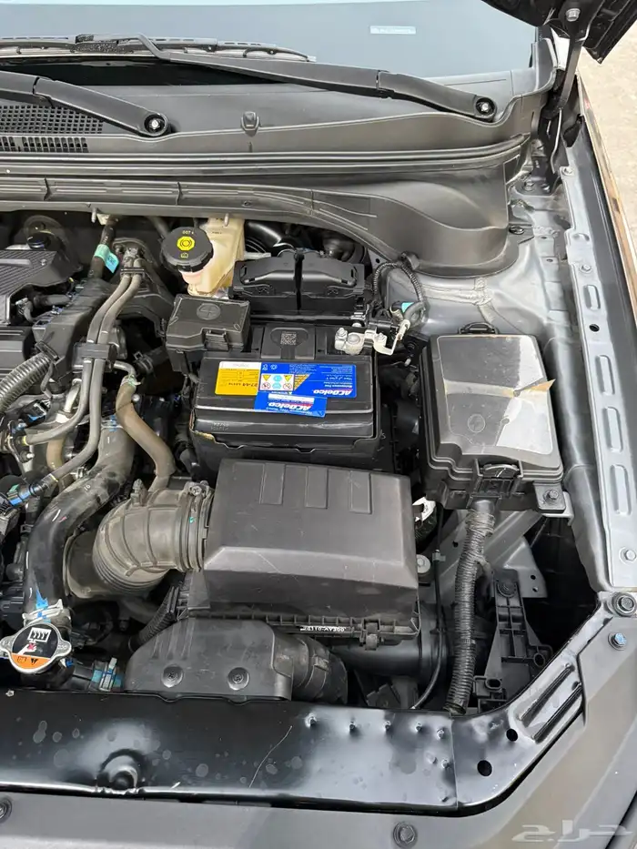 اكسنت بكياس الوكاله 2025 20