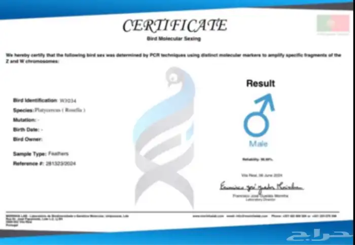 ذكر روزيلا بشهادته 4