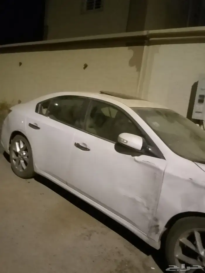 2011فل الفل كل شي على الشرط في صوت بالمكينه مادري وش هو 6