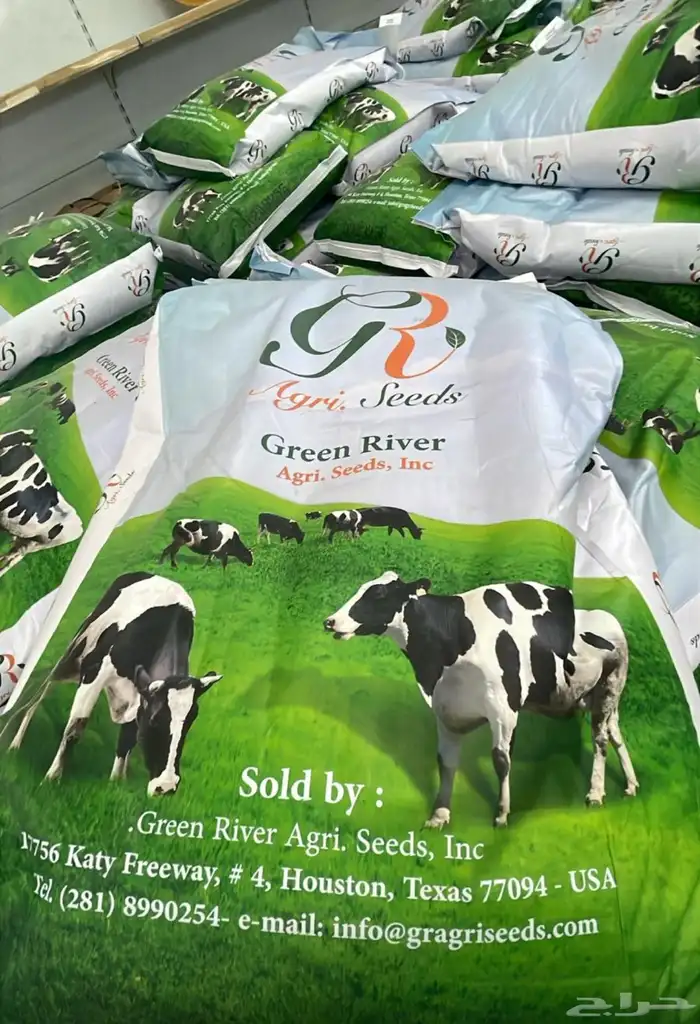 للبيع بذر برسيم 0