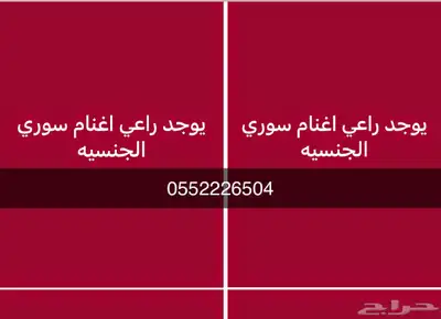 راعي اغنام سوري 0