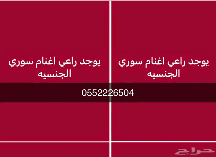 راعي اغنام سوري 0