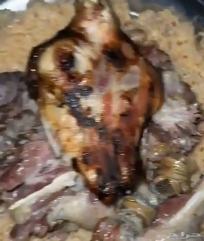 مرخ طازج للحنيذ والمندي يقطف يوم طلبك 2