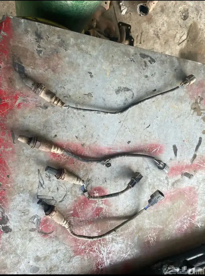 حساس شكمان اوريون 2011 1