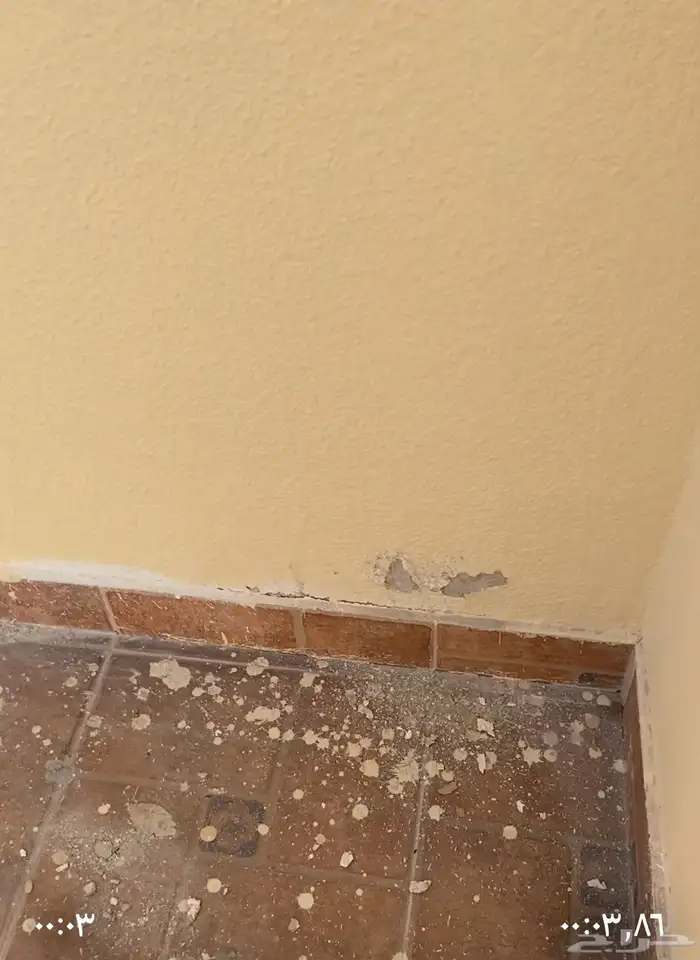 بويه بلاط كهرباء نجاره سباكه 3