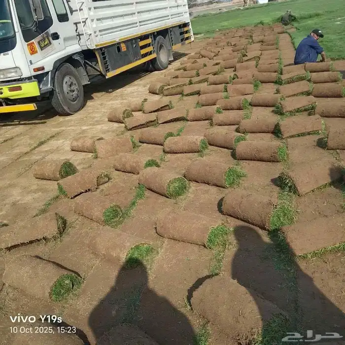 نجيل طبيعي 13