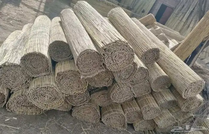 خيزران جلسات 5