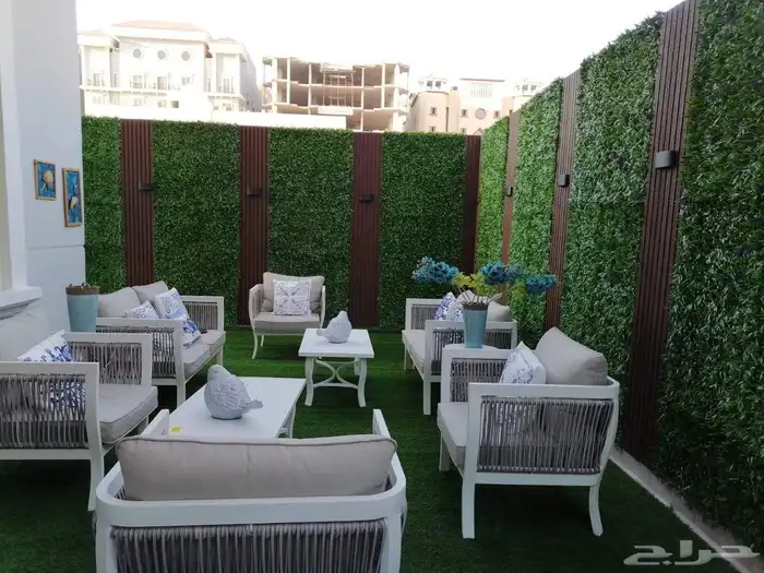 عشب الافندر 7