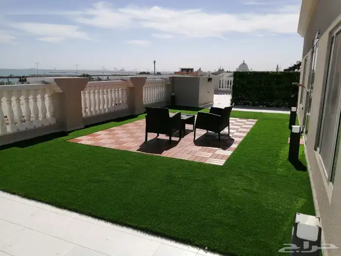 عشب الافندر 1