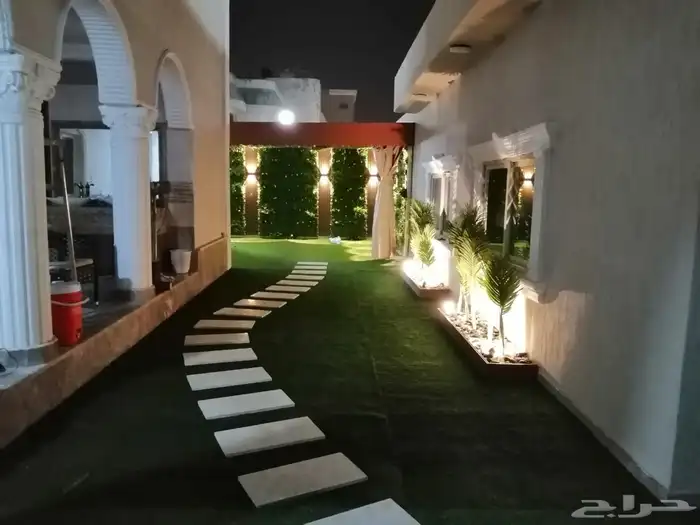 عشب الافندر 4