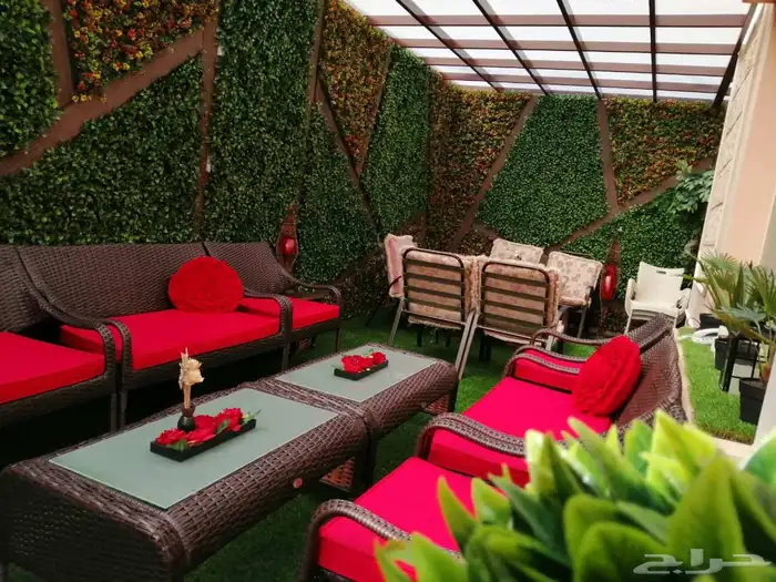 عشب الافندر 3