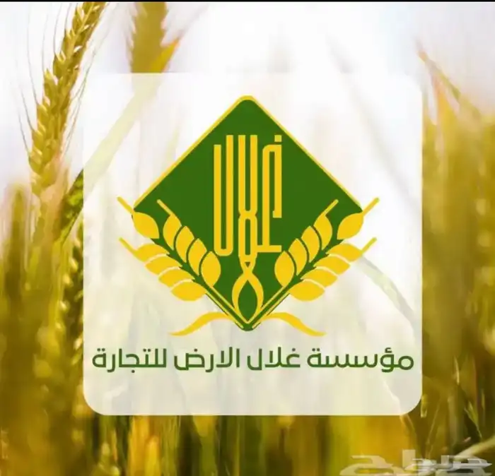 لوقو - شعار 10