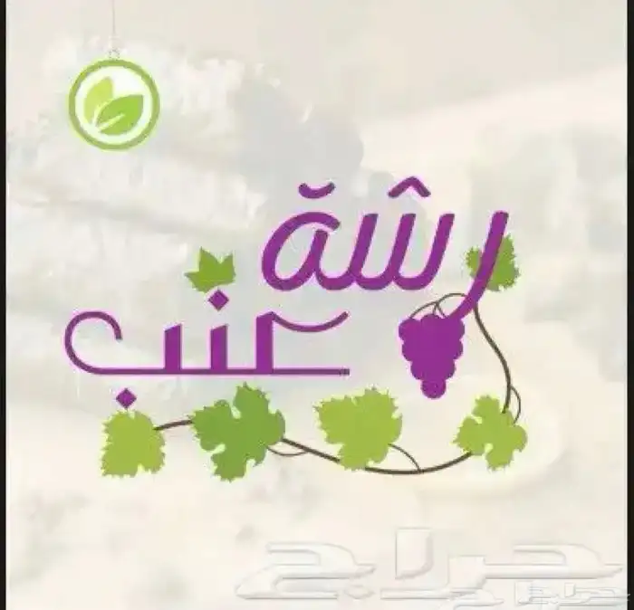 لوقو - شعار 6