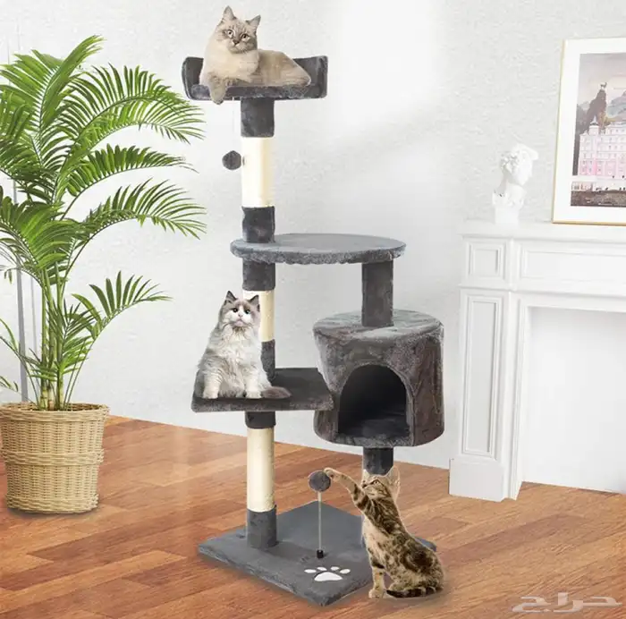 للبيع العاب قطط قطه خداشه كبيره صغيره 1