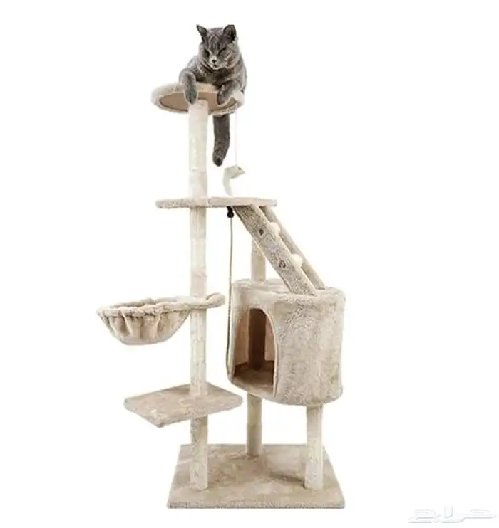 للبيع العاب قطط قطه خداشه كبيره صغيره 2