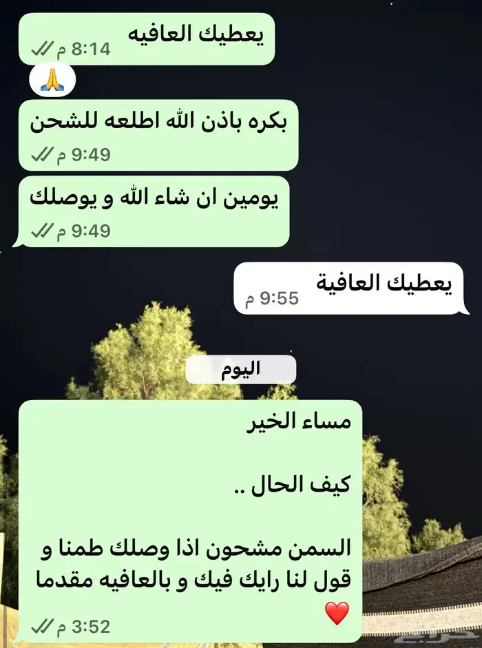 سمن غنم ضان طبيعي القصيم نشحن لجميع المناطق 2