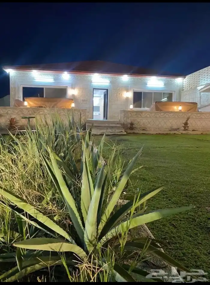 شالية روح وريحان للايجار اليومي والشهري والسنوي حي رحاب 18