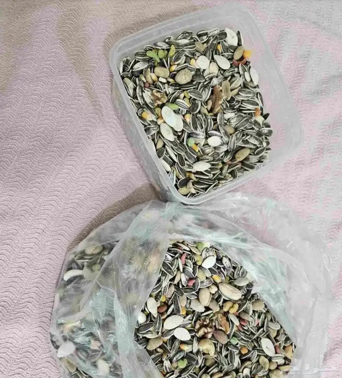 فيتامين ببغاءات موتا فيت كاسكو امازوني 3