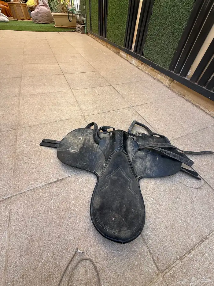 سرج خيل جوكي 0