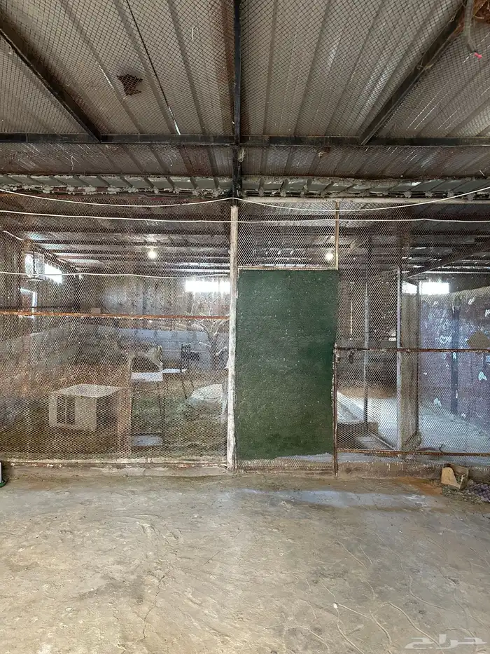 ايواء فندقه ومكان لجميع الحيوانات 1