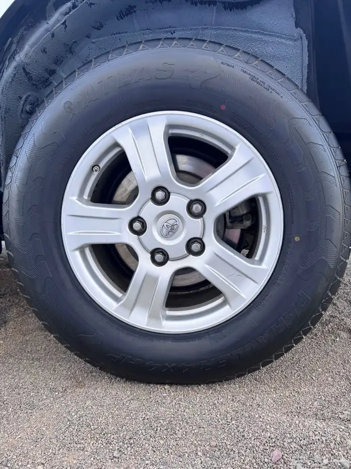 سكويا ( نص فل نظيف ) 14